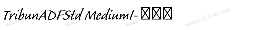 TribunADFStd MediumI字体转换